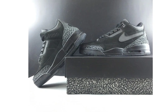 Jordan Oregon Retro Air 3 AJ3-902027 AJ3-902027 Duck 0410